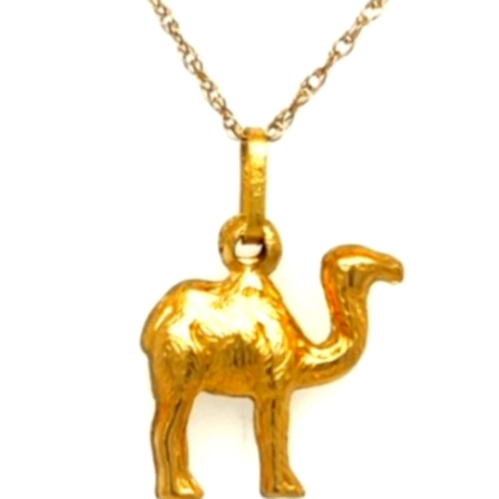 🐫18kThe She-Camel of God (Arabic: نَاقة الله) in Islam